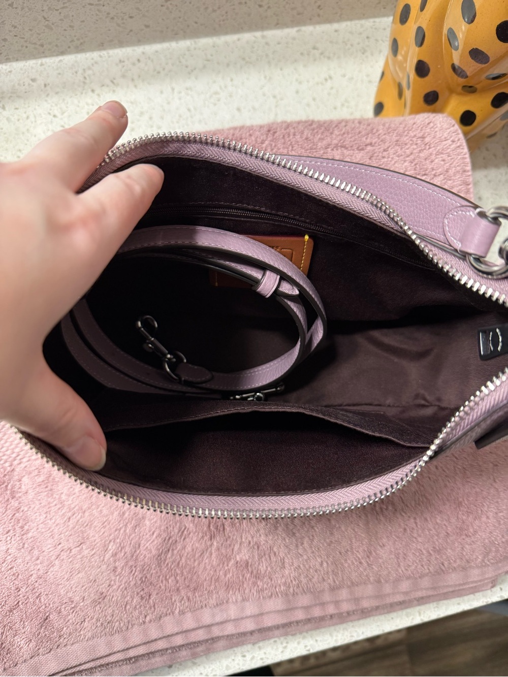 Coach Teri Hobo Leather Bag - Jasmine/Silver - Picture 3 of 6